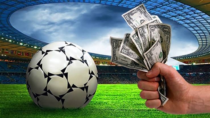 Descubra o Mundo das Apostas com a BullsBet Descubra o Mundo das Apostas com a BullsBet
