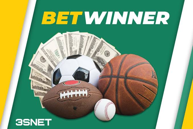 Discover BetWinner Platform Your Ultimate Betting Destination